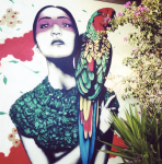 Capture d’écran 2015-12-04 à 12.22.00